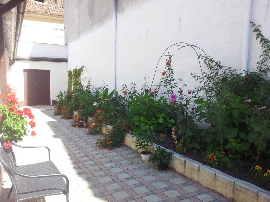 Casa Graef Apartment Брашов Екстериор снимка